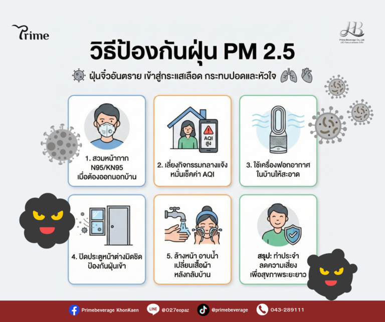 วิธีป้องกันฝุ่น PM 2.5 ตัวร้าย